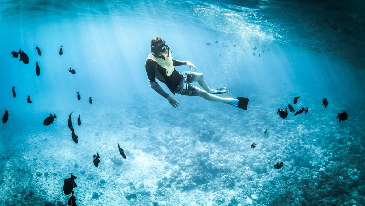 Activites Nautiques Snorkeling