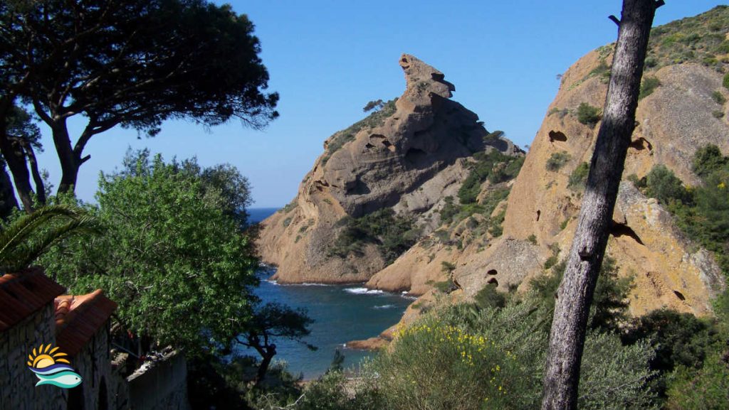 Calanque de Figuerolles à deux pas de La Ciotat