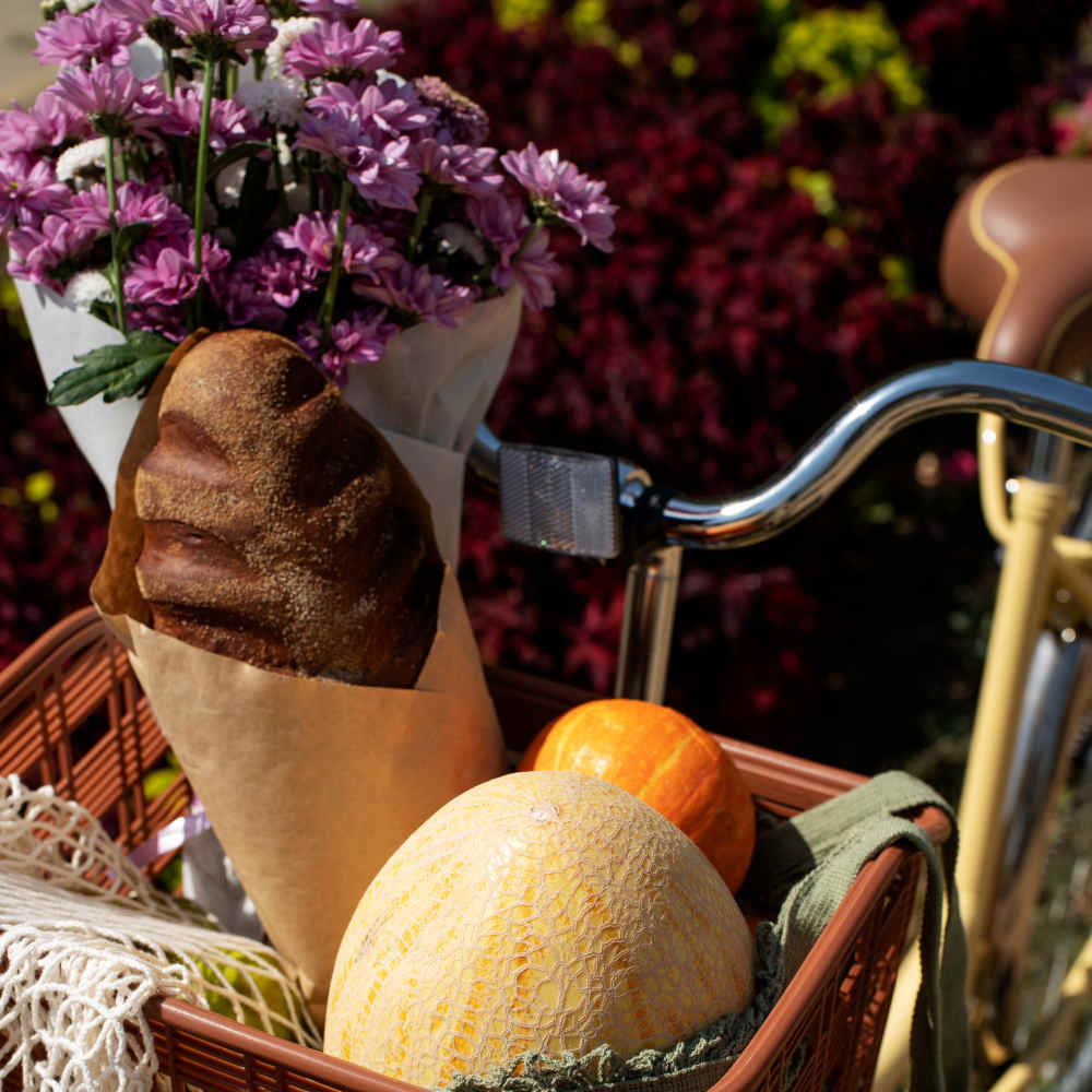 Découvrir la Provence : calanques, villages et vignobles Panier a l