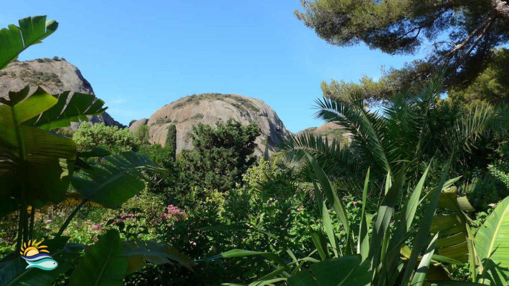 jardin exotique du Mugel et ses plantes luxuriantes