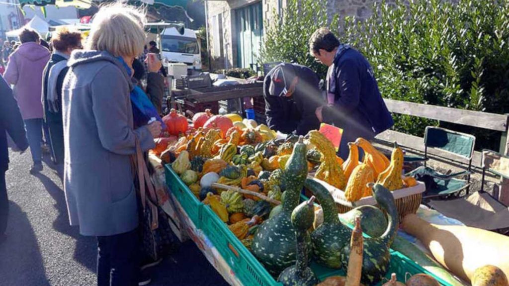 marche provencal couleurs automne