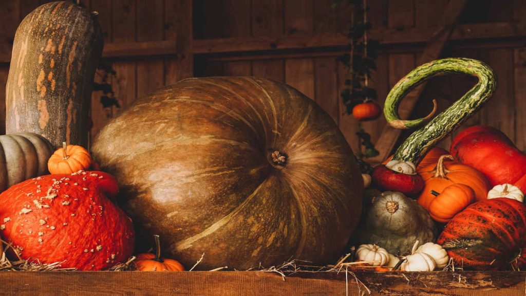 Les saveurs automnales des marchés provençaux