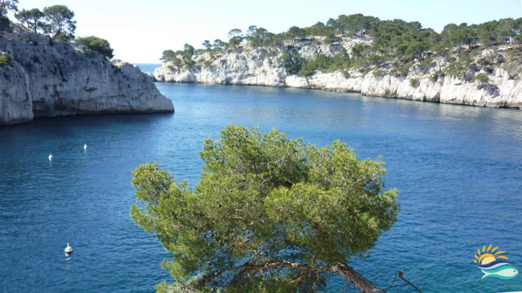 La calanque de Port-Miou avec ses roches blanches qui plongent dans la mer