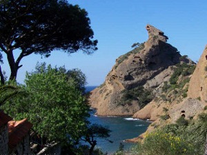 Votre séjour sera riche en activités et en détente... calanque de Figuerolles La Ciotat