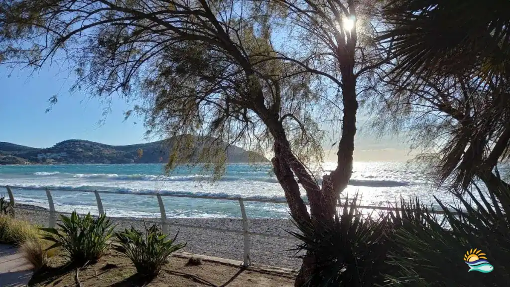 Séjour en Provence : nos conseils pour des vacances réussies promenade rose le long de la plage des Lecques