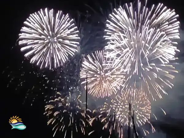 Actualites Feu D Artifice La Ciotat Fete 15 Aout